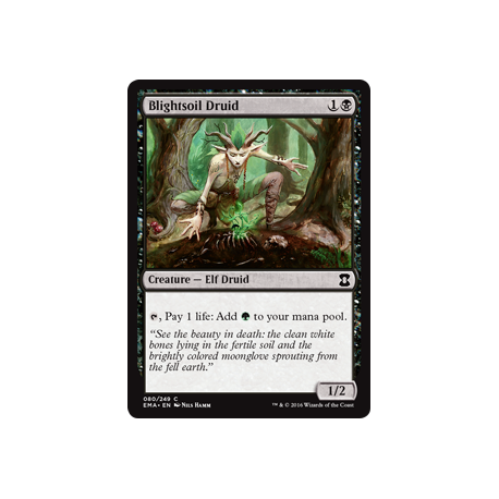 Blightsoil Druid - Foil