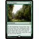 Sylvan Library - Foil