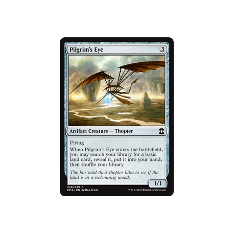 Pilgrim's Eye - Foil