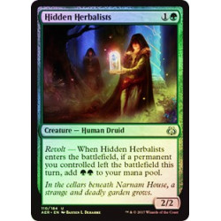 Hidden Herbalists - Foil