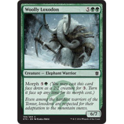 Woolly Loxodon