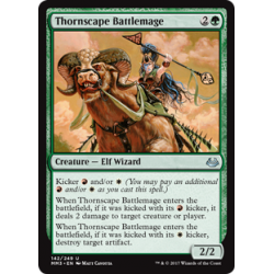 Thornscape Battlemage