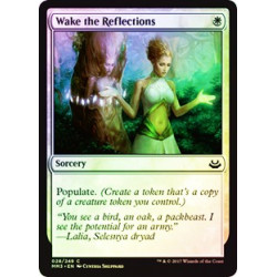Wake the Reflections - Foil