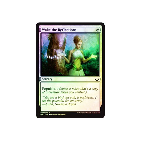 Wake the Reflections - Foil