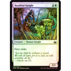 Youthful Knight - Foil