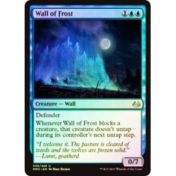 Wall of Frost - Foil