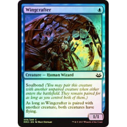 Wingcrafter - Foil