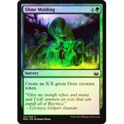 Slime Molding - Foil