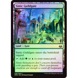 Simic Guildgate - Foil