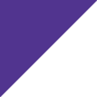 Purple/White